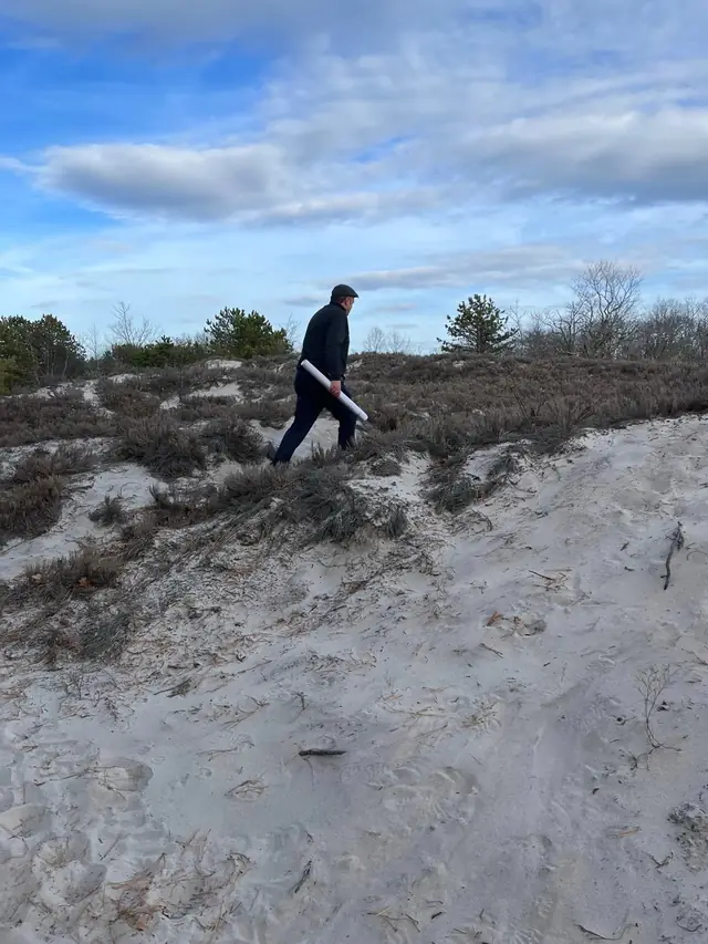 Walking a coastal dune ridge carrying a plan tube